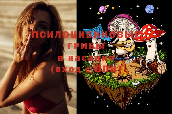 бошки Тавда