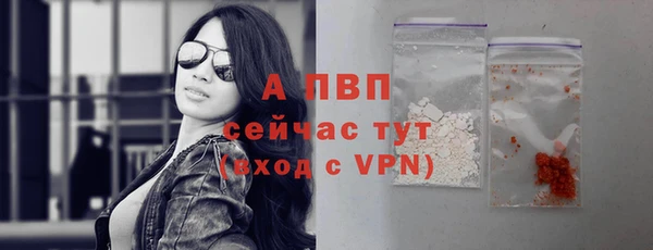 ALPHA PVP Белокуриха