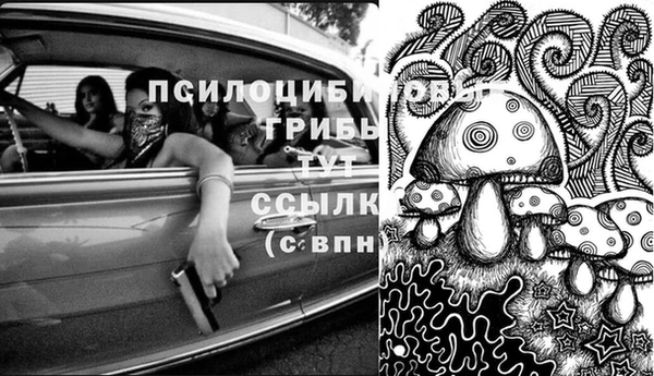 ALPHA PVP Белокуриха