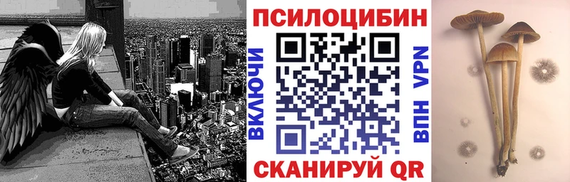Псилоцибиновые грибы прущие грибы  магазин продажи   Полесск 